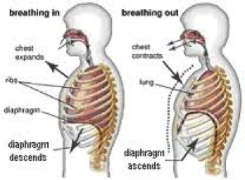 artemis-blogpost-relaxation-diagram